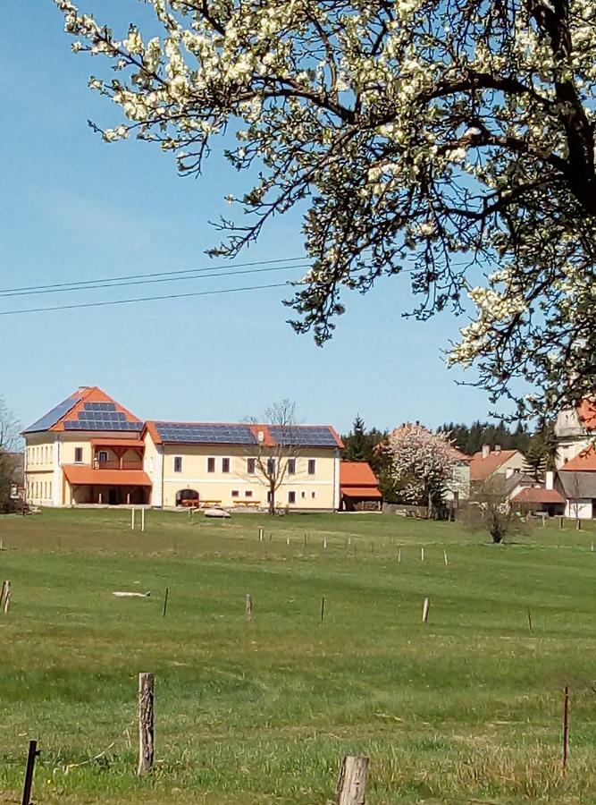 Penzion Hurky Нова-Бистржіце Екстер'єр фото